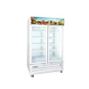 Celsius 1000 Liters, Double Swing Glass Door Chiller (Food Safe) White TSB2CF-27